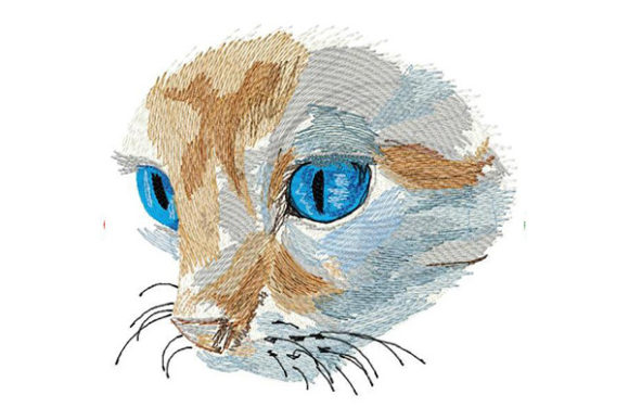 Cat with Deep Blue Eyes: A Designer’s Review